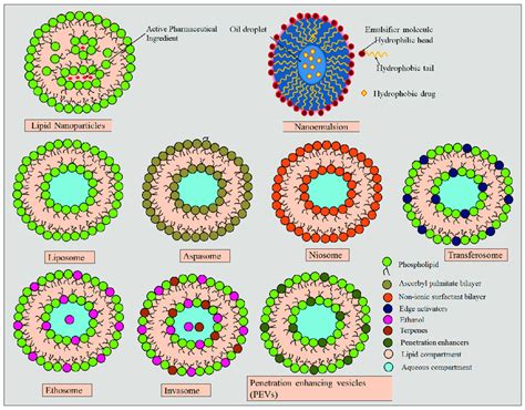 Structural Representation Of Various Lipid Based Nanocarriers