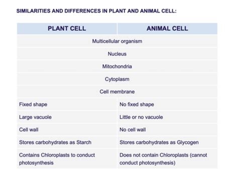 level  organisation cell structure flashcards quizlet