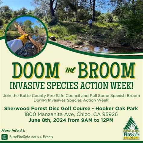 Doom The Broom Invasive Species Week Buttefiresafe Net