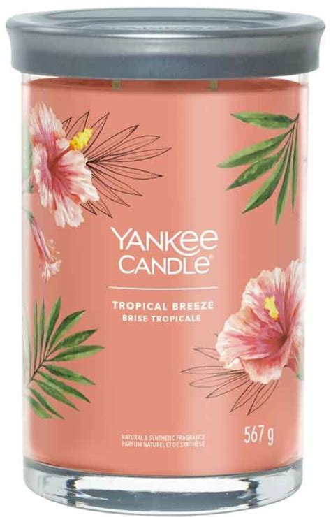 Yankee Candle Tropical Breeze Tumbler Signature 567g Ab 28 95