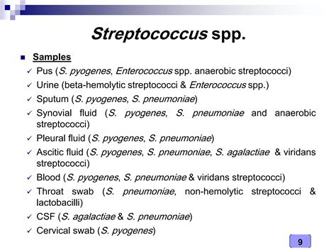 Medical Microbiology Laboratory Streptococcus Spp Ppt