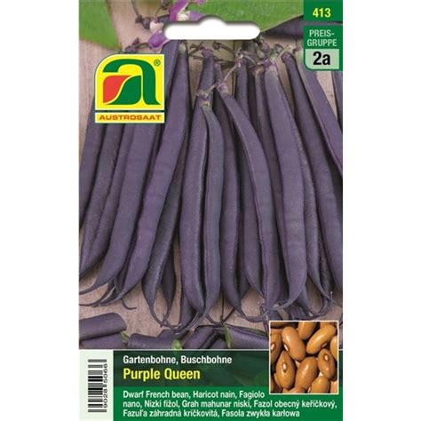 AUSTROSAAT Haricot Nain Purple Queen 1 Sachet Bloomling France