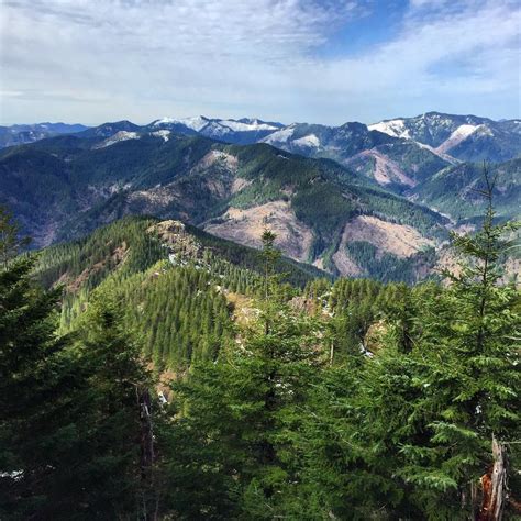 Endangered Species Threatened In Western State Forests Due To Oregon