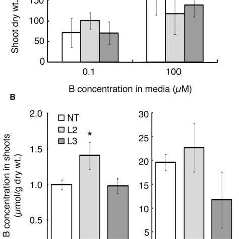 Shoot Development Of Transgenic Tomato Plants Expressing Atbor1 Under