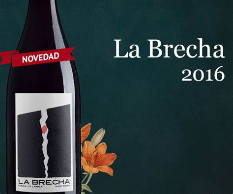 Lavinia: La Brecha 2016, de los enólogos de Fedellos do Couto y Ca´di ...