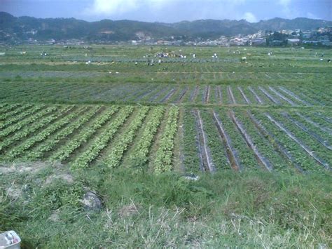 Lambak Ng Trinidad Salad Bowl Of The Philippines Philippines Travel