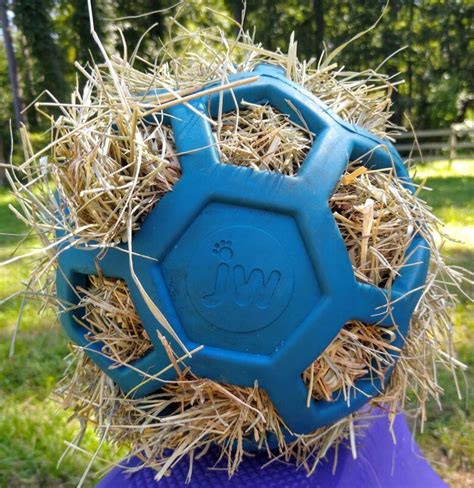 Are Horse Ball Toys Good for Horses? - Enriching Equines