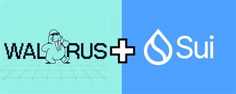 Sui Ecosystem Walrus Walrus Testnet Airdrop Claim Tutorial 天元大人 On