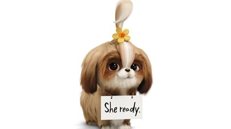 Tiffany Haddish’s Daisy Searches for a Hero in Latest ‘Secret Life of Pets 2’ Trailer ...