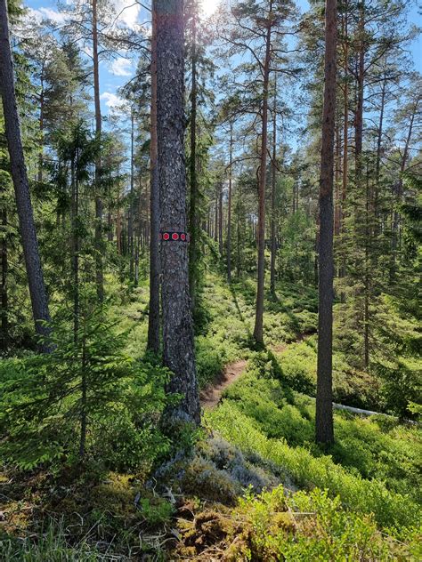 Skog vildmark sjöar Tresticklan i ett nötskal Hemomkringvandring