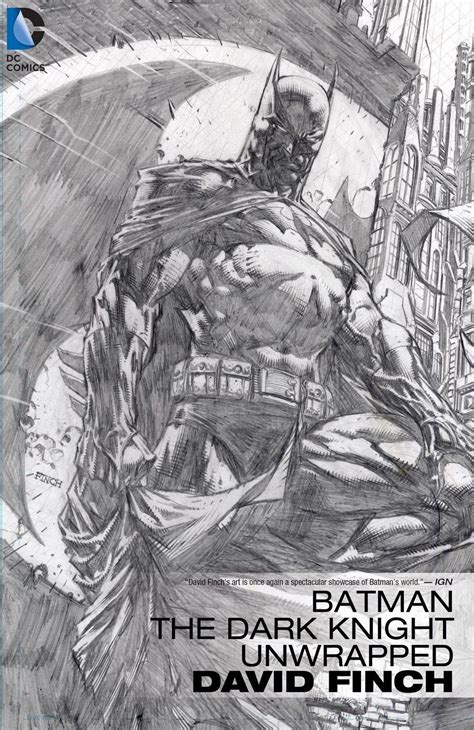 Batman The Dark Knight Unwrapped By David Finch Batman Artwork