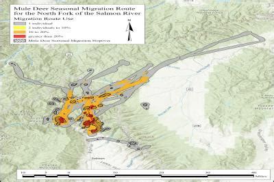 Mule Deer NFork Salmon Migration Map and Statistics