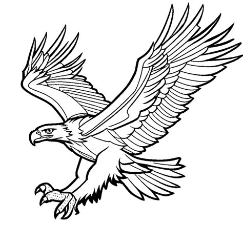 Eagle In Flight Coloring Page Lulu Pages