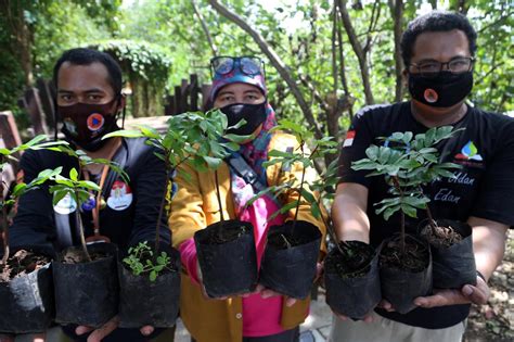 Foto Komunitas Pecinta Alam Tanam Pohon Sapu Tangan