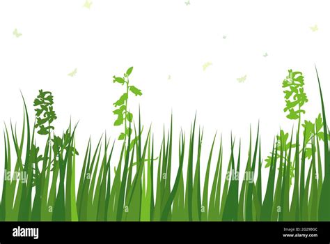 Green Spring Meadow Grass Fresh Color Plants Seasonal Growth Grass Separated Botanical