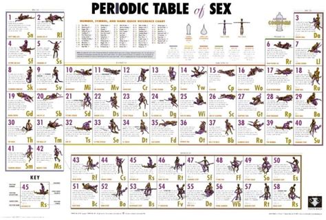 Periodic Table Of Sex Poster 36 X 24in Posters And Prints