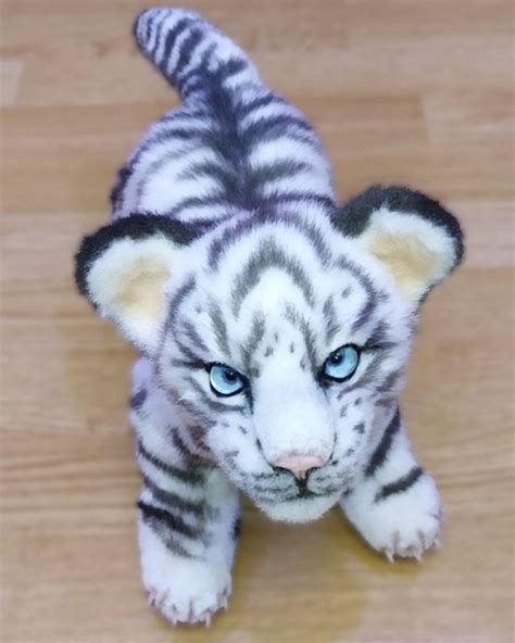 White tiger cub by Olga Romanova | Tedsby