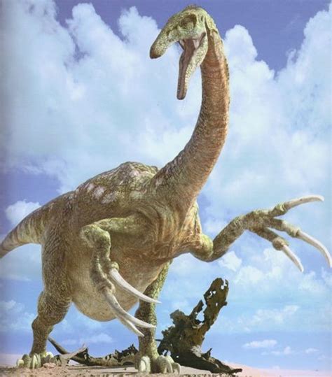 Therizinosaurus Pictures & Facts - The Dinosaur Database