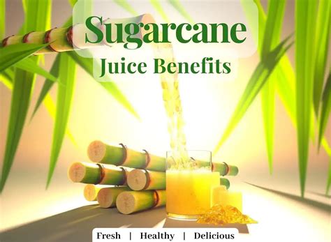 Incredible Sugarcane Juice Benefits Complete Guide Hke