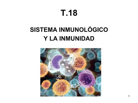 T 18 SISTEMA INMUNITARIO Pdf