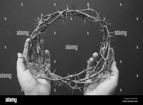 Holy Crown Of Thorns Hi Res Stock Photography And Images Alamy