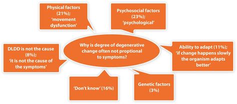 Current And Future Perspectives On Lumbar Degenerative Disc Disease A