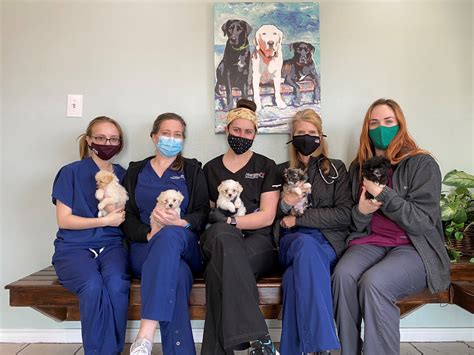 Puppy And Kitten Care Veterinary Clinic Bryan College Station TX