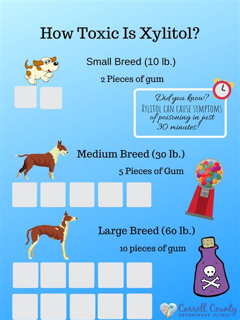 Xylitol Toxicity – Veterinarians Westminster, Maryland | Carroll County