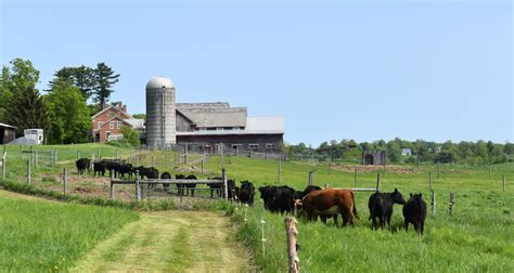 Partner Stories: Vermont Natural Beef