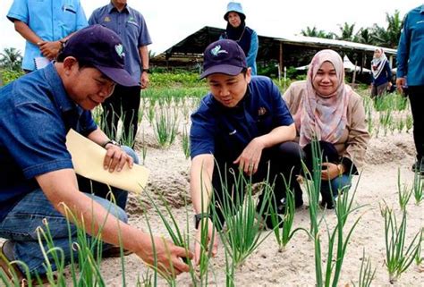 Carian Mengenai Topik Kementerian Pertanian Dan Keterjaminan Makanan