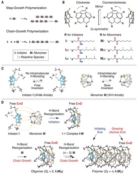 A Rational Strategy For The Realization Of Chain Growth Supramolecular