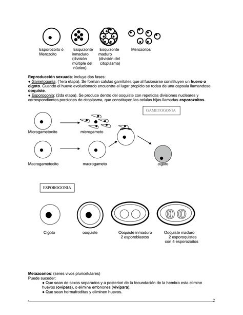 Solution Parasitolog As Resumen Studypool