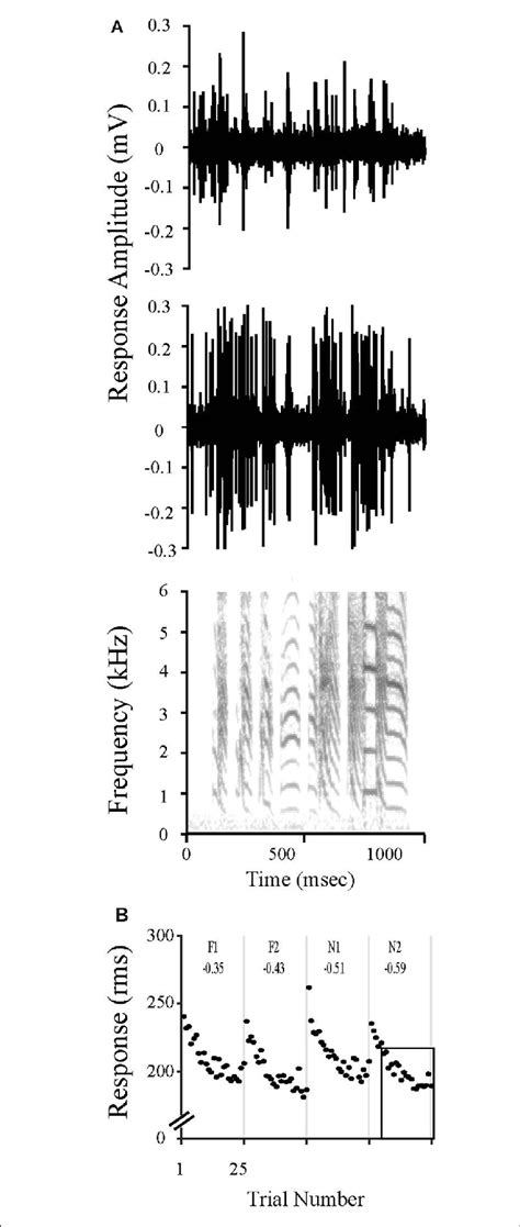 Stimulus Specific Adaptation Ssa To Song Stimuli Is Evident In