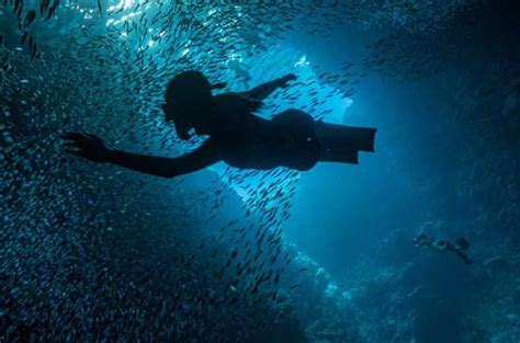 Freediving Photography Course | Koh Tao Thailand