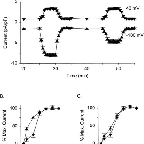 Kinetics Of Activation Of Current By Swelling And Inactivation By