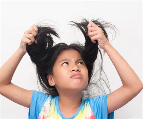 What Happens When You Leave Lice Untreated Evansville Lice Clinic