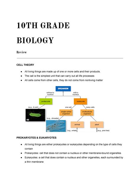 Grade 10 Biology Notes 10TH GRADE BIOLOGY Review CELL THEORY All