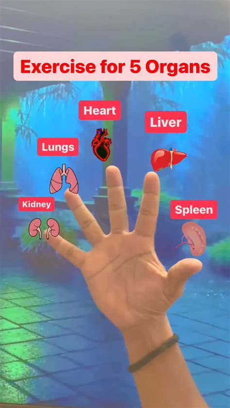 knowledgepower4u • Instagram photos and videos