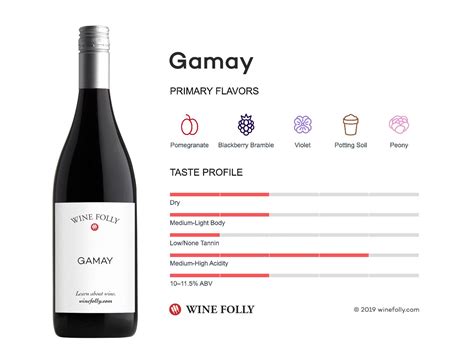 The Comprehensive Guide to Gamay | Wine Folly