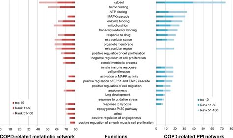 Figure From Prioritizing Chronic Obstructive Pulmonary Disease Copd