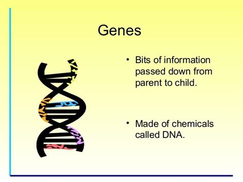 Genetics for kids