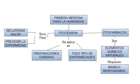 Fitoterapia Para Hacer