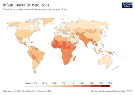 World Mortality Rate