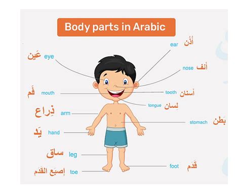 Arabic Words With English Translation