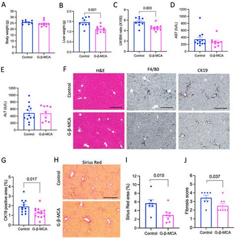 Cells Free Full Text Glycine β Muricholic Acid Improves Liver