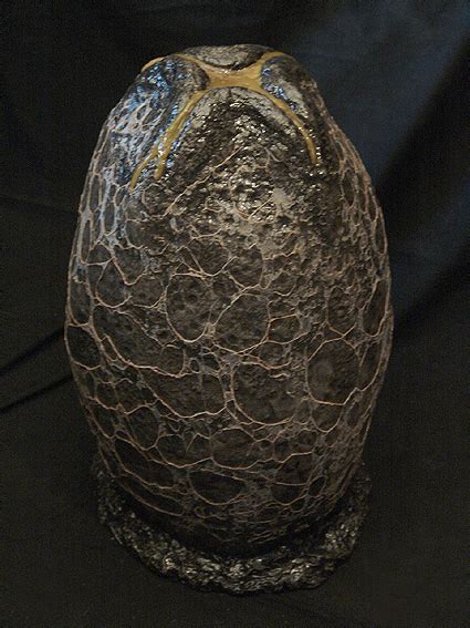 Image - Xenomorph Egg.jpg - Of Blood and Honor Wiki - Wikia