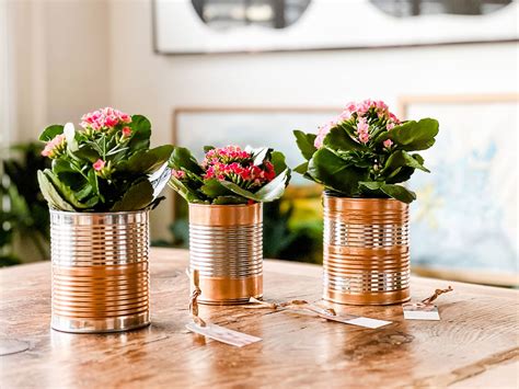 Upcycle Tin Cans Most Lovely Things