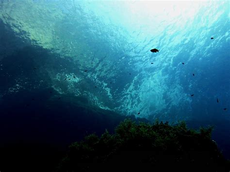 Underwater Inland Sea Dwejra Gozo Canon Powershot G15 Yaya Papaya