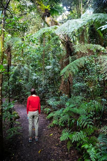 Una Hermosa Ni A Camina A Trav S De Una M Gica Selva Tropical En El