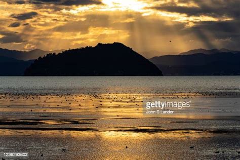 The Lake Complex Photos And Premium High Res Pictures Getty Images